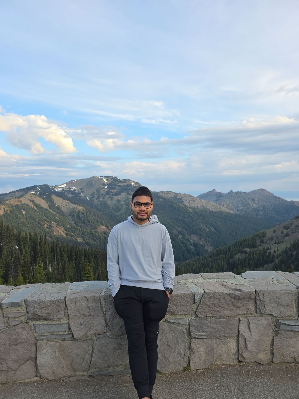 aashish bora